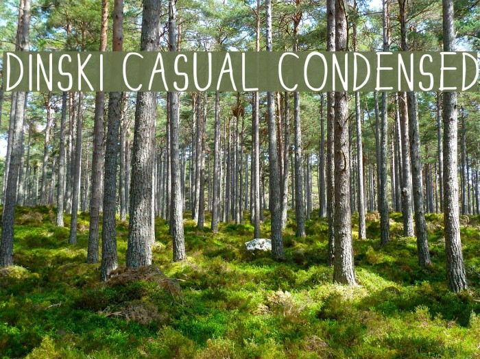 DINSKI CASUAL CONDENSED Font examples