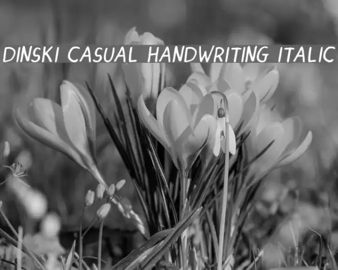 DINSKI CASUAL HANDWRITING Italic Font examples