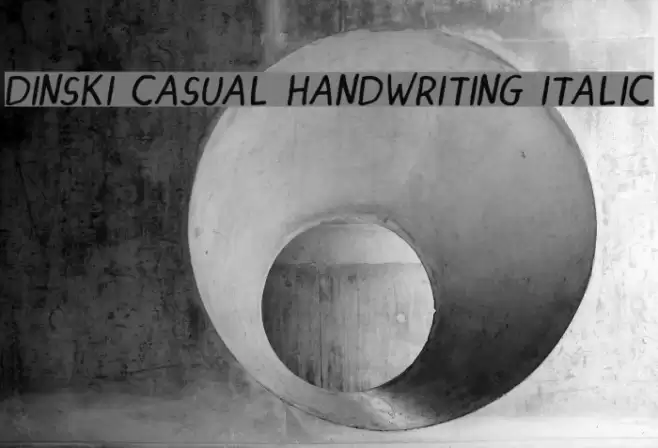 DINSKI CASUAL HANDWRITING Italic Font examples