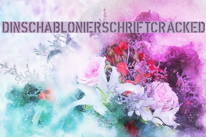 DINSchablonierschriftCracked Font examples