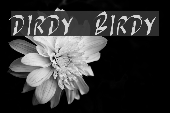 DIRDY BIRDY Example 1