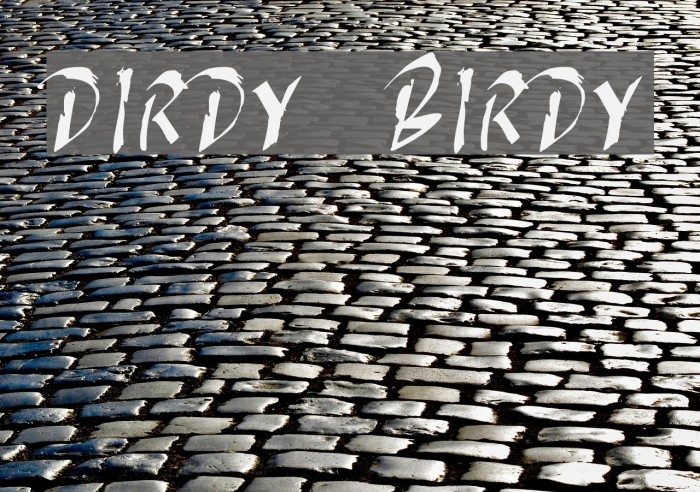 DIRDY BIRDY Example 2