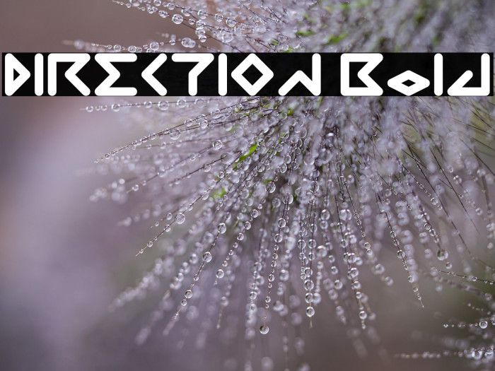 DIRECTION Bold Example 2