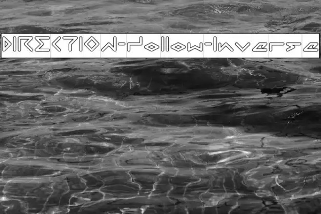 DIRECTION-Hollow-Inverse Example 1