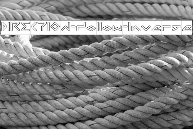 DIRECTION-Hollow-Inverse Example 2