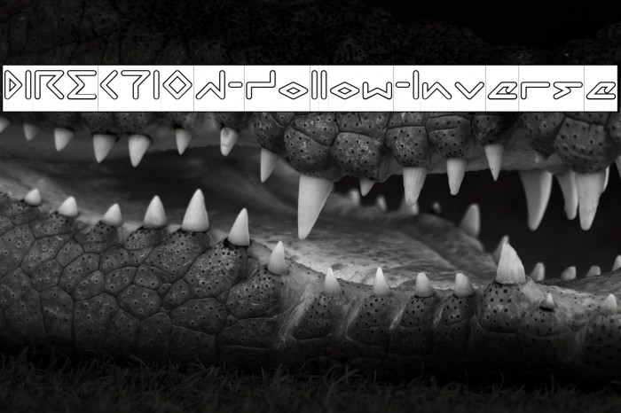 DIRECTION-Hollow-Inverse Example 3