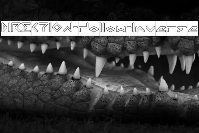DIRECTION-Hollow-Inverse Example 3