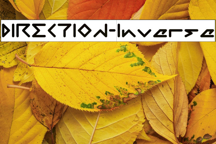 DIRECTION-Inverse Example 2