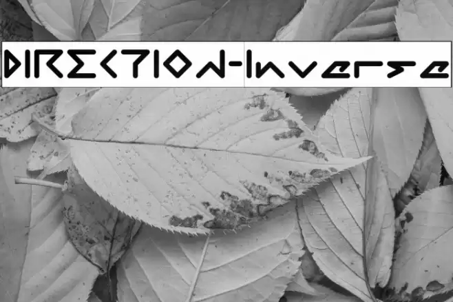 DIRECTION-Inverse Font examples