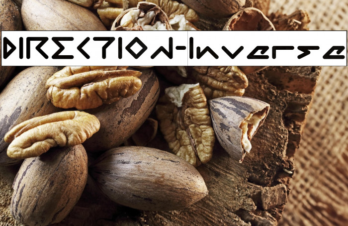 DIRECTION-Inverse Example 3