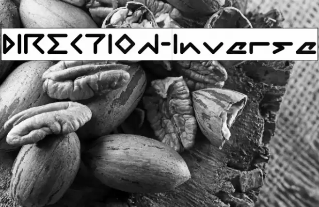 DIRECTION-Inverse Font examples