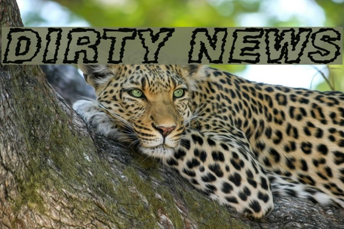 DIRTY NEWS Font examples