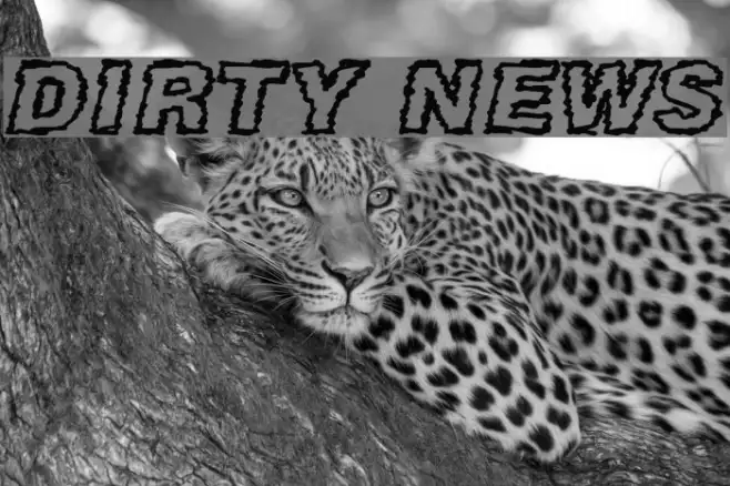 DIRTY NEWS Example 2