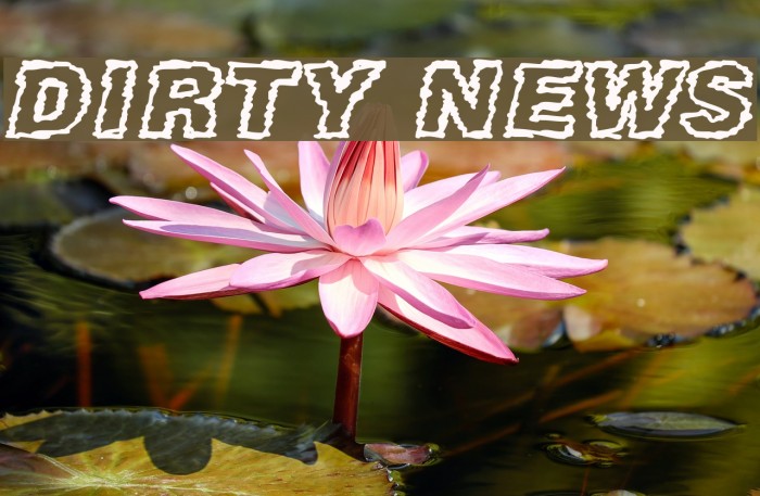 DIRTY NEWS Font examples