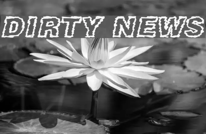 DIRTY NEWS Example 3