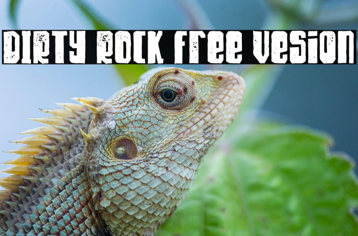 DIRTY ROCK Free Vesion Example 2