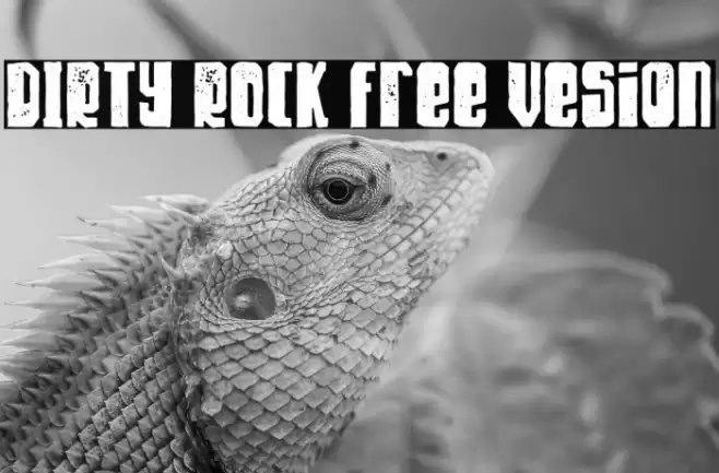 DIRTY ROCK Free Vesion Font examples