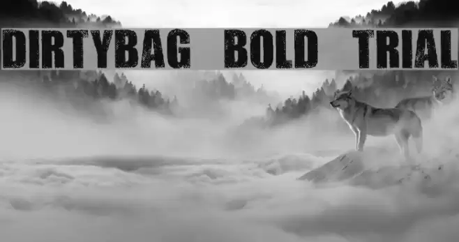 DIRTYBAG BOLD TRIAL Font examples
