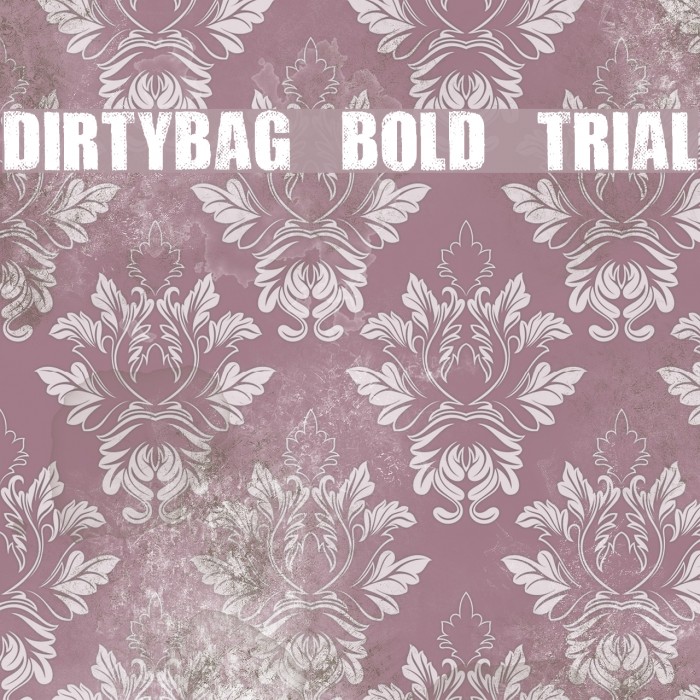 DIRTYBAG BOLD TRIAL Font examples