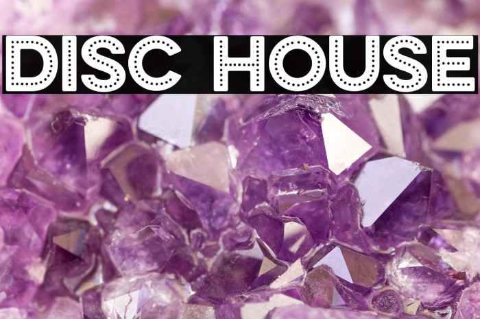 DISC HOUSE Example 1