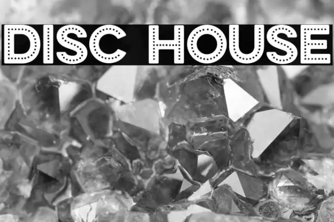 DISC HOUSE Example 1