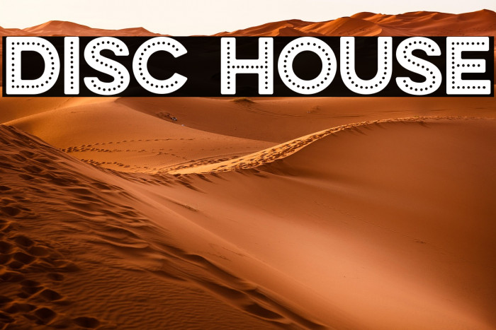 DISC HOUSE Example 2