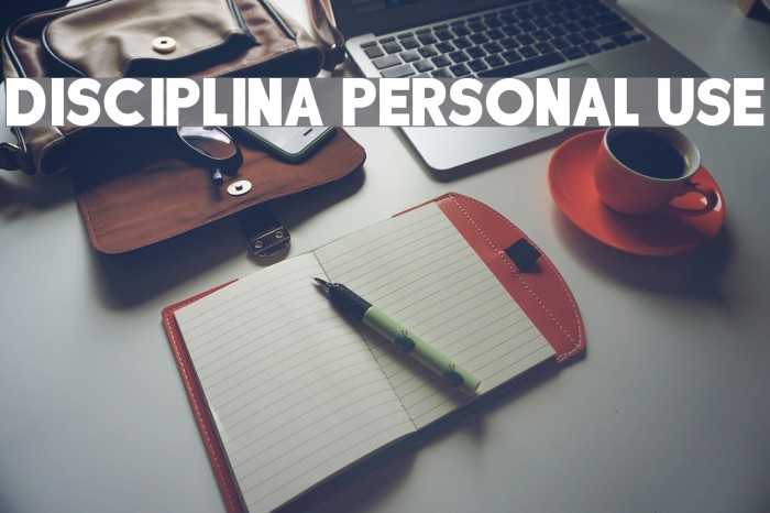DISCIPLINA PERSONAL USE Font examples
