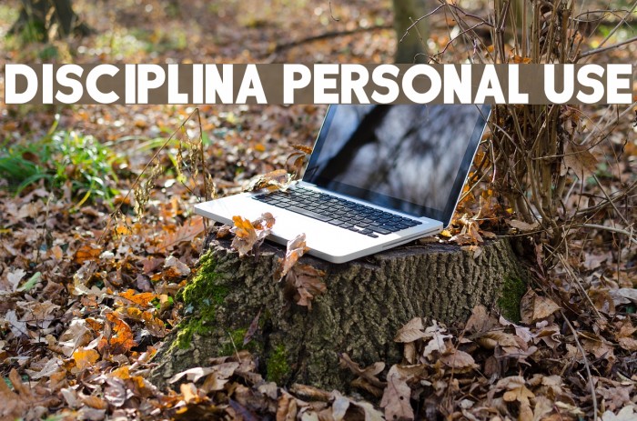 DISCIPLINA PERSONAL USE Font examples