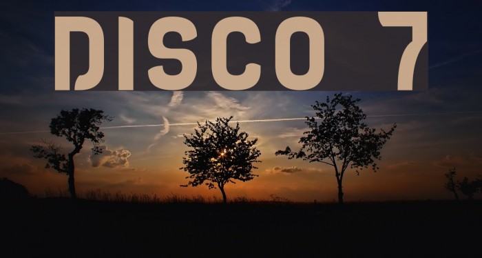 DISCO 7 Font examples