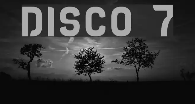 DISCO 7 Example 1