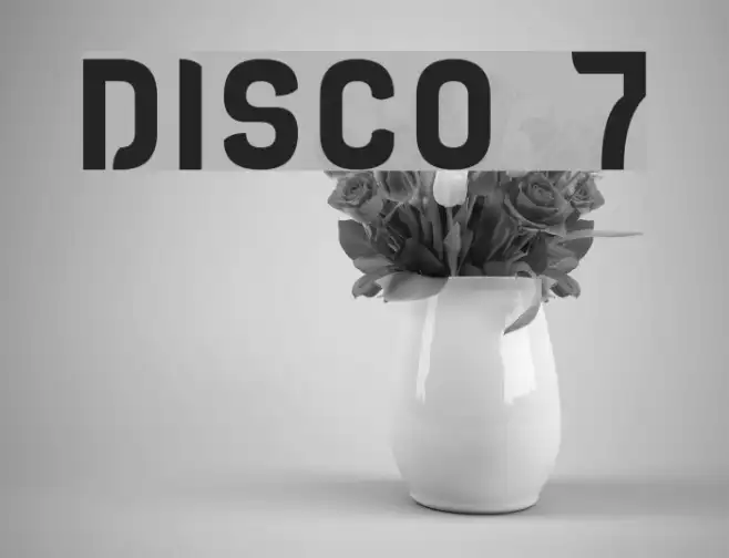 DISCO 7 Example 2