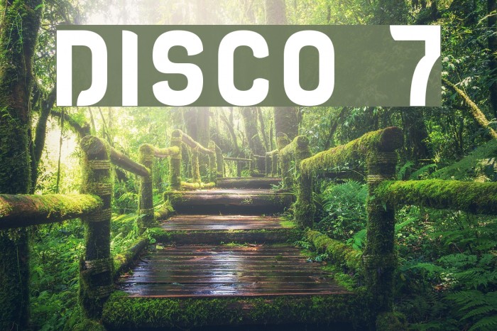 DISCO 7 Font examples