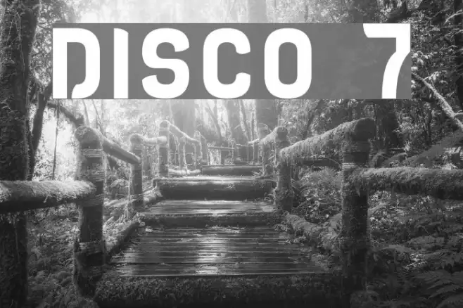 DISCO 7 Example 3