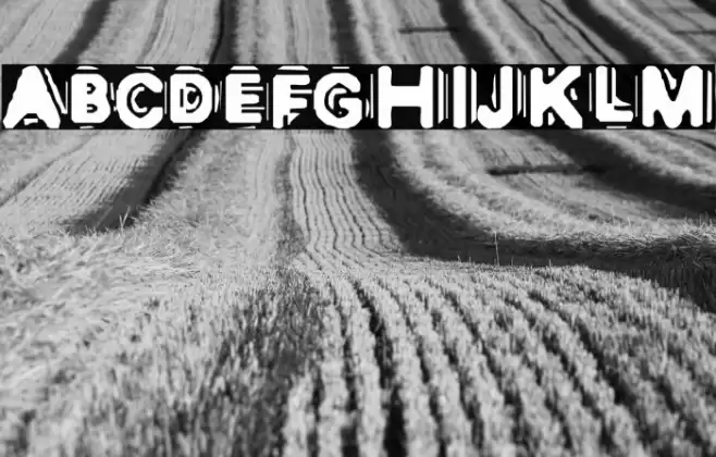 DISCOBOX Font examples