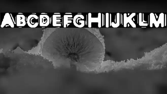 DISCOBOX Font examples