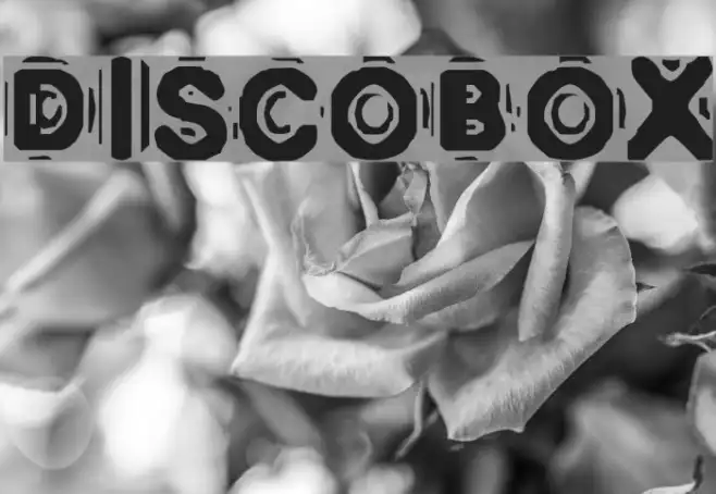 DISCOBOX Example 2