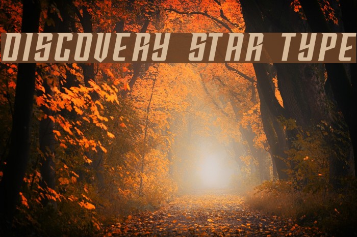 DISCOVERY STAR TYPE Font examples