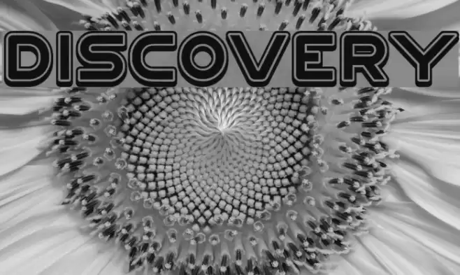 DISCOVERY Font examples