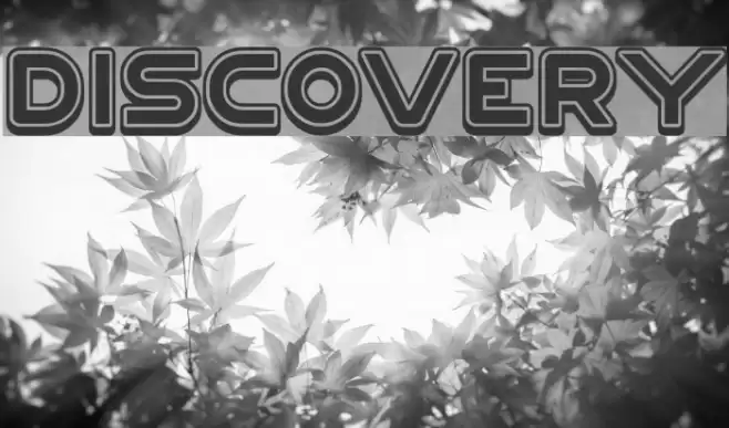 DISCOVERY Font examples