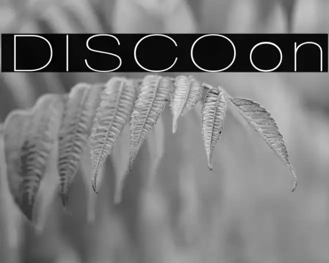 DISCO Example 3