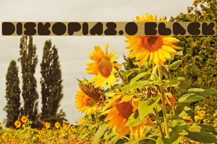 DISKOPIA2.0 Black Font examples