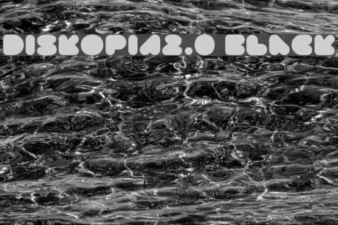 DISKOPIA2.0 Black Example 2