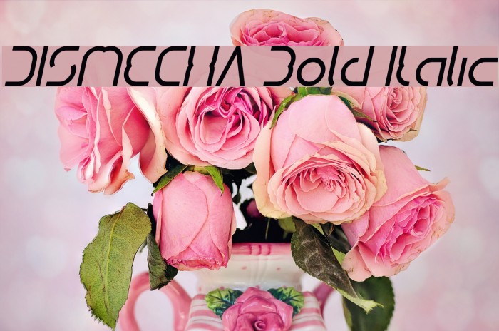 DISMECHA Bold Italic Example 2