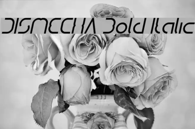 DISMECHA Bold Italic Font examples