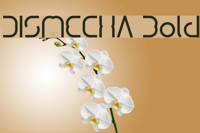 DISMECHA Bold Example 2