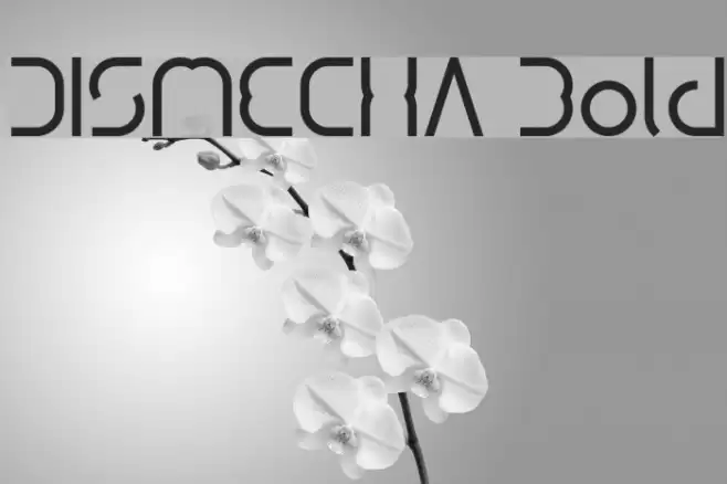 DISMECHA Bold Font examples