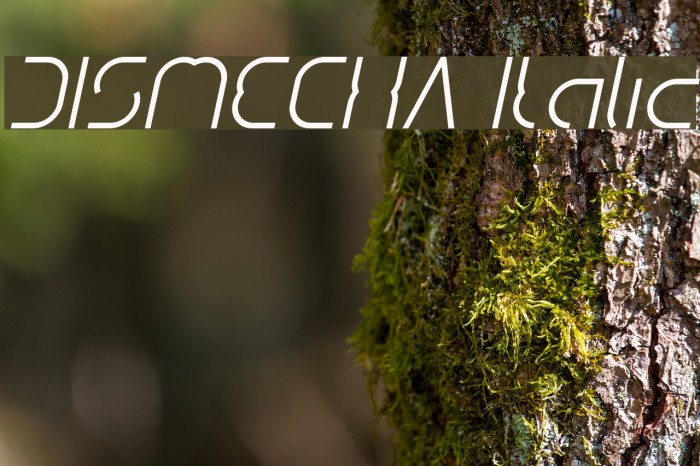 DISMECHA Italic Font examples