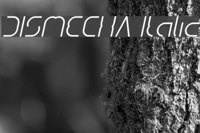 DISMECHA Italic Example 3