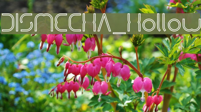 DISMECHA_Hollow Example 2