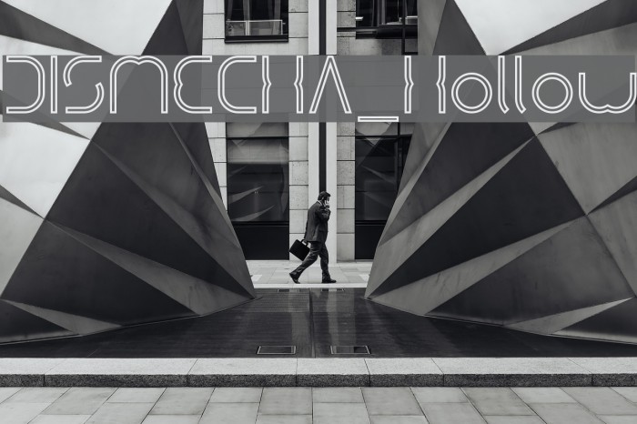 DISMECHA_Hollow Example 3